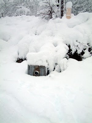151208snow03-1.jpg