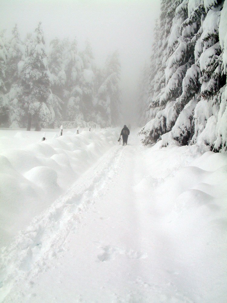 151208snow07-1.jpg