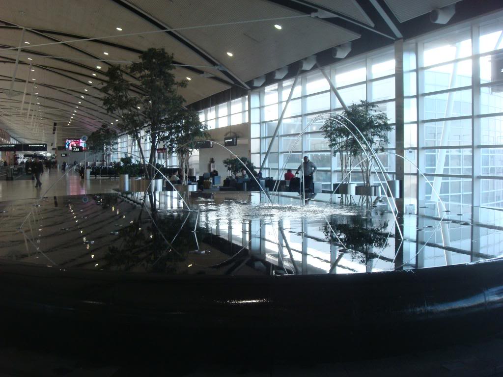 DSC02368-1.jpg