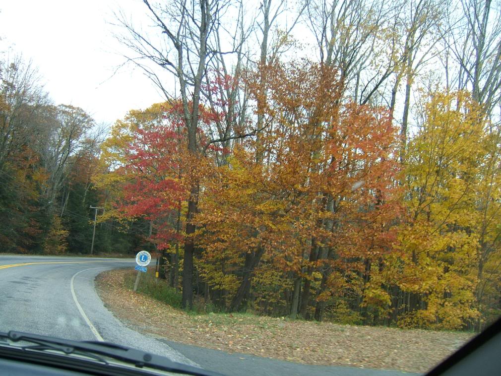 DSCF1833-1.jpg