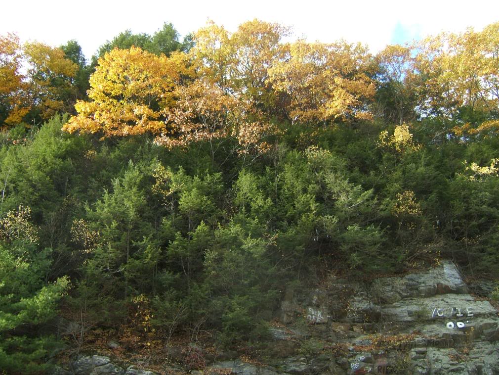 DSCF1899-1.jpg