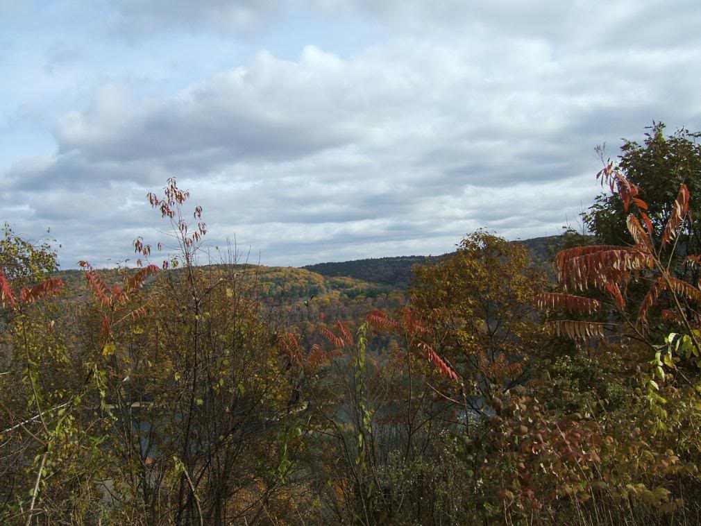 DSCF1904-1.jpg