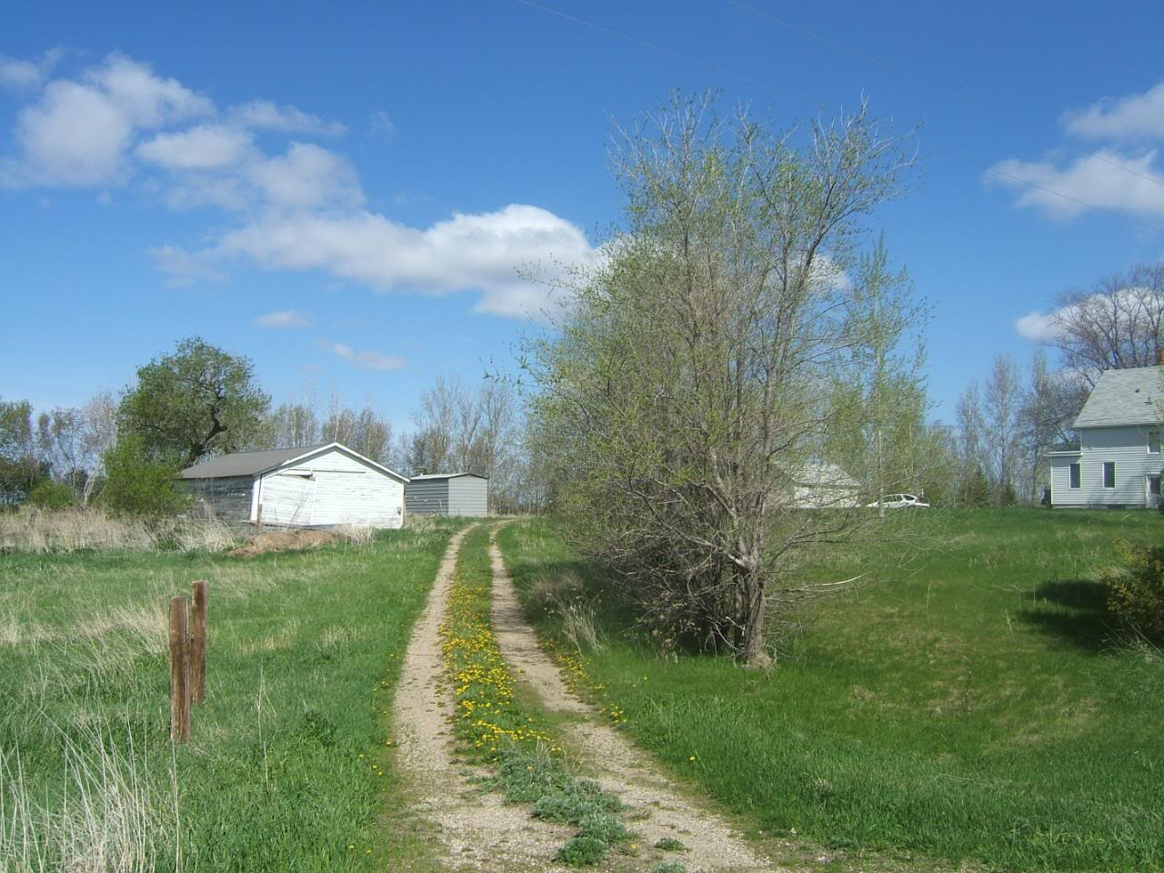 DSCF5109-1.jpg