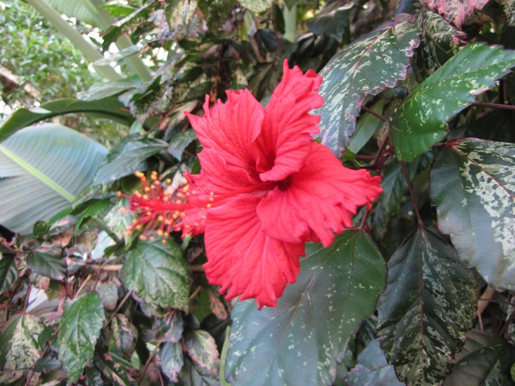 IMG_0604-1.jpg