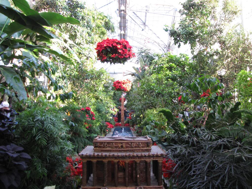 IMG_0617-1.jpg