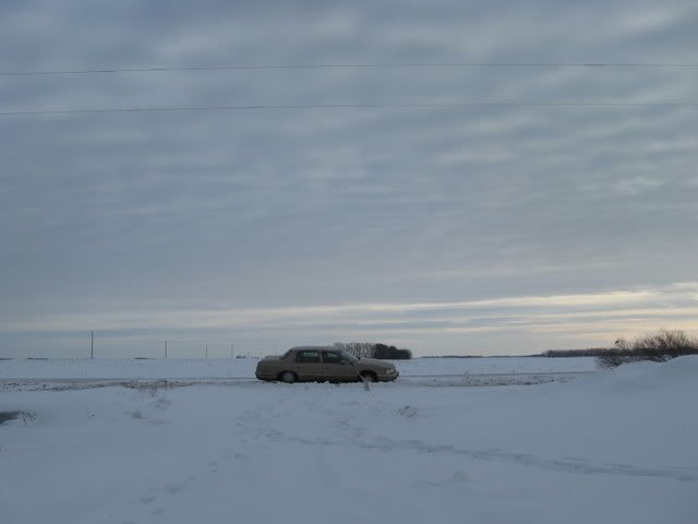 IMG_1493-1.jpg