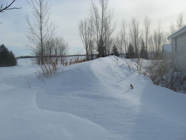 IMG_1508-1.jpg