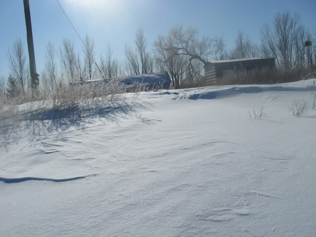 IMG_1534-1.jpg