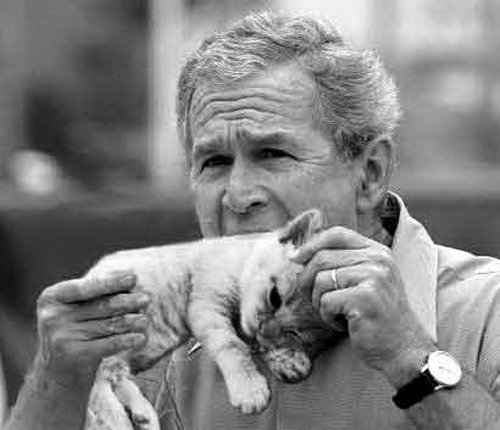 funny_bush_04-1.jpg
