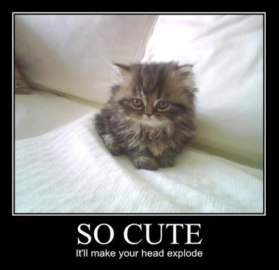 socuteitllmakeyourheadexplode-1.jpg