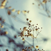 th_0067t6yt-1.png