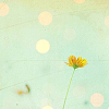 th_00741dsg-1.png