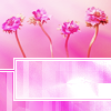 th_080219014-1.png