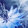th_080515006-1.png