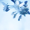 th_080515015-1.png