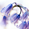 th_080613110-1.png