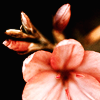 th_080715007-1.png