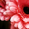 th_080715009-1.png