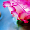 th_080715014-1.png