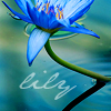 th_081007009-1.png
