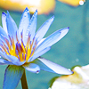 th_081007010-1.png