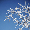 th_081116001-1.png