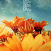 th_11081-1.png
