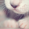 th_13717864-1.png