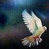 th_15121805-1.png