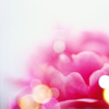 th_27070700-1.png