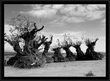 th_381698974_3ca48f39a3_m-1.jpg