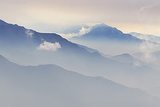 th_447374772_095336f1a3_m-1.jpg