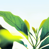 th_5787103-1.png