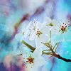 th_6e6730132-1.png