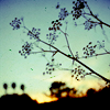 th_8820885-1.png