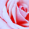 th_8848085-1.png