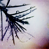 th_PPP0009800_Veer-1.png