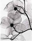 th_Silence-1.jpg