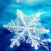 th_Winter17vi-1.png
