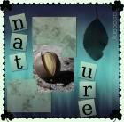 th_a_thing_namer_nature_by_aaaaany-1.jpg