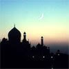 th_india5-1.jpg