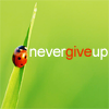 th_ladybeetle03-1.png
