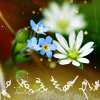 th_myphotography004-1.png