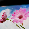 th_purpleflowersky-1.png