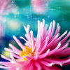th_stock006-1.png