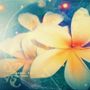 th_stock046-1.png