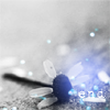 th_stock_100flowers_end-1.png