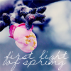 th_stock_100flowers_hope-1.png