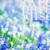 th_stock_100flowers_paradise-1.png