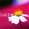 th_stock_100flowers_textcopy-1.png